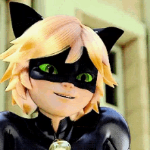 cat noir